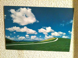 Photo 11月 23, 0 46 39