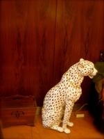 cheeter