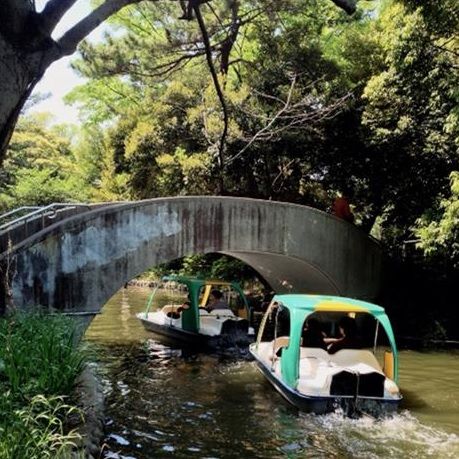 感激 うんとレトロな空気感 石神井公園はジジイもこどもも大満足の水辺だった 人生これから副業たくさん選ぶろぐ 感激 うんとレトロな空気感 石神井公園はジジイもこどもも大満足の水辺だった 人生これから副業たくさん選ぶろぐ