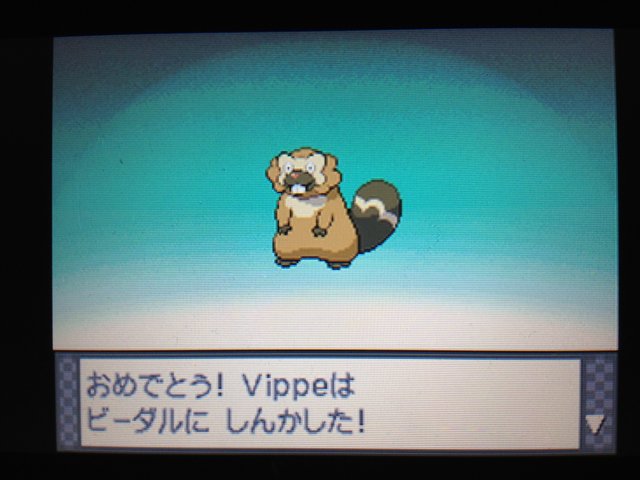 Ds ポケットモンスター プラチナ ジムバッチ2個まで 大人になりつつある日記 Vol 3