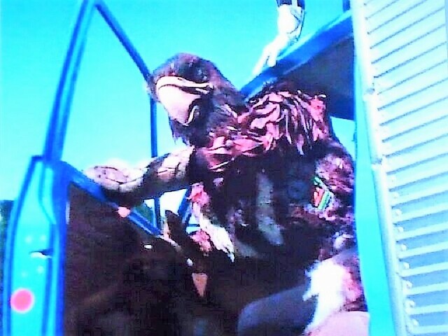 バダン改造人間第8号～タカロイド : HEROブログ～憧れた風