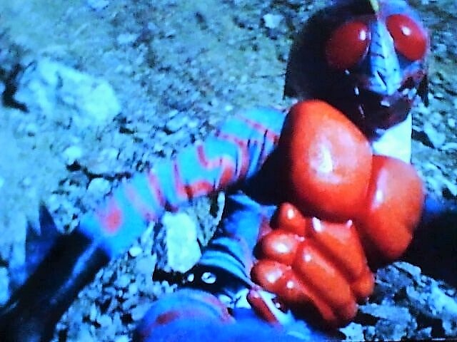 ニセアマゾンライダー③