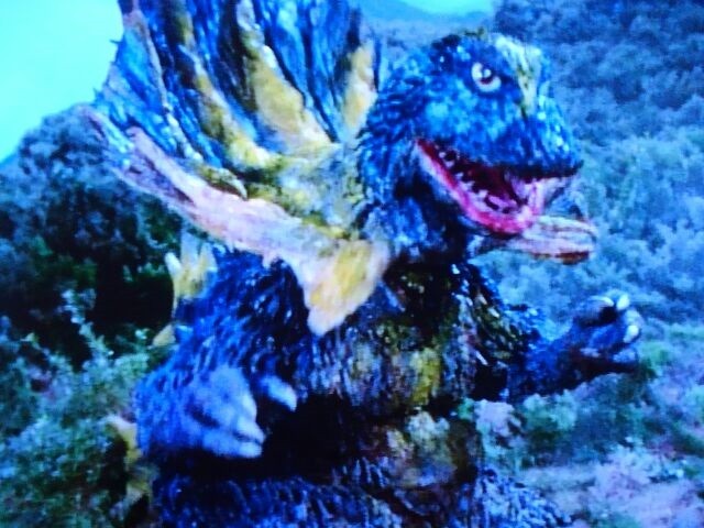 ジラース⑥