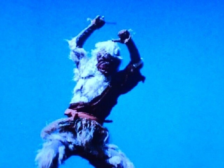 化身忍者第２号 マシラ ｈｅｒｏブログ 憧れた風と光の戦士たち