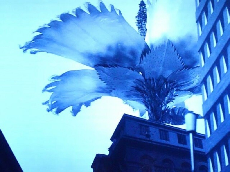 ウルトラ怪獣第５号 ウルトラｑ 巨大植物ジュラン マンモスフラワー ｈｅｒｏブログ 憧れた風と光の戦士たち