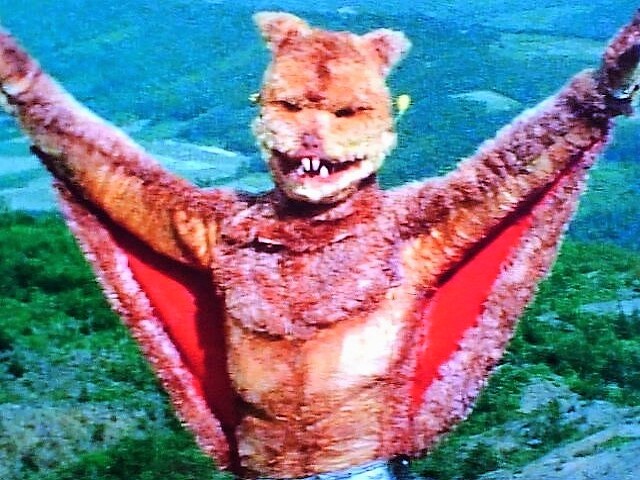 ムササビートル⑦
