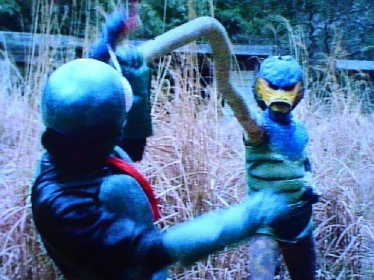 ショッカー改造人間第8号~コブラ男 : HEROブログ~憧れた風と光