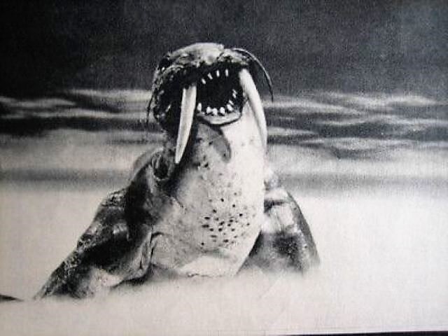 ウルトラ怪獣第27号：ウルトラQ～トドラ : HEROブログ～憧れ