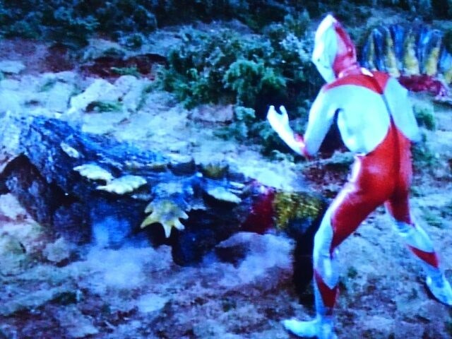 ウルトラ霞み切(初代マン)⑧