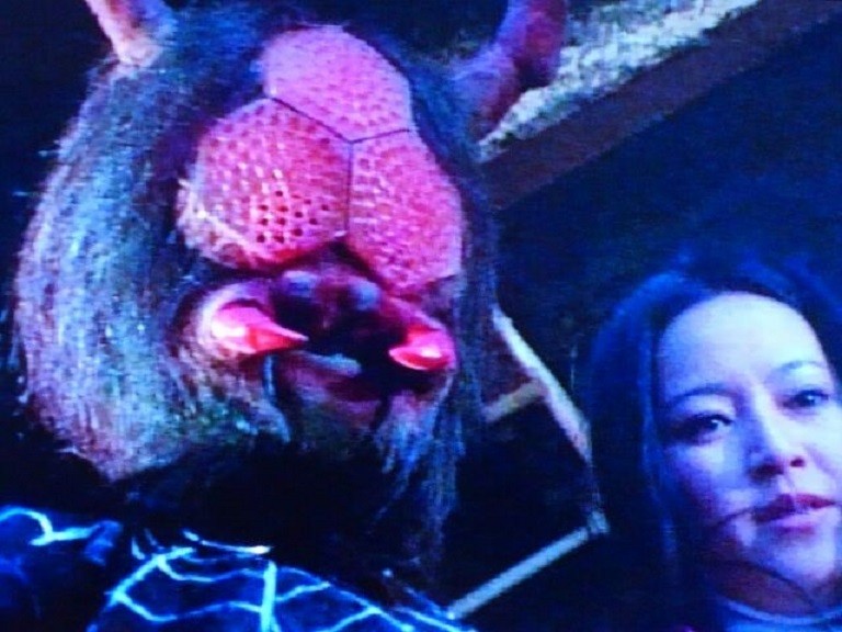 ショッカー改造人間第1号 蜘蛛男 ｈｅｒｏブログ 憧れた風と光の戦士たち