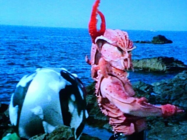 カニバブラー④