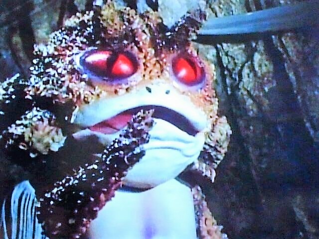 ガマ獣人