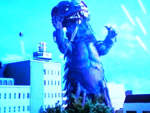 ⭐︎ゴンタロウ⭐︎ ウルトラ怪獣第41号：ウルトラマンタロウ～ゴンゴロス : HERO