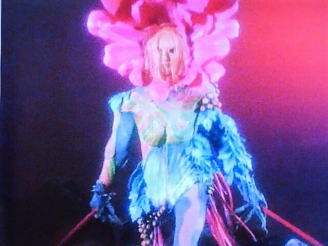 アネモネ怪人④