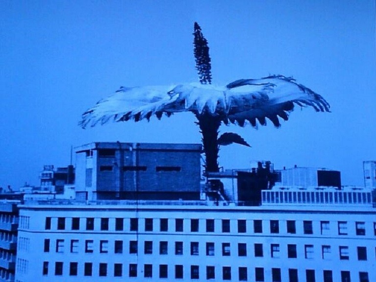 ウルトラ怪獣第５号 ウルトラｑ 巨大植物ジュラン マンモスフラワー ｈｅｒｏブログ 憧れた風と光の戦士たち