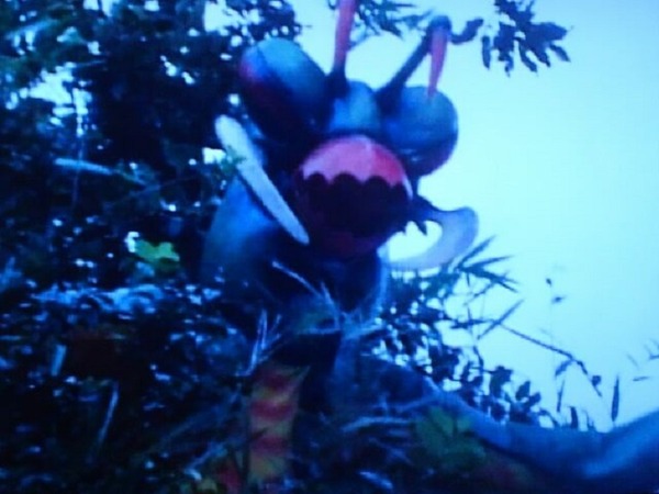 カマキリ獣人①