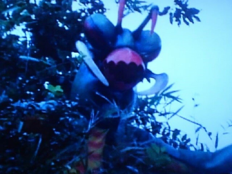 ゲドン改造人間第3号 カマキリ獣人 heroブログ 憧れた風と光の戦士たち ゲドン改造人間第3号 カマキリ獣人 heroブログ 憧れた風と光の戦士たち