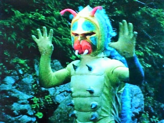 ドクガンダー(幼虫)②
