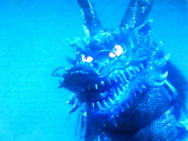 ミズノエノリュウ(壬龍)