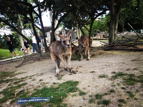 IMG20180723172458