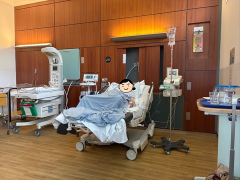 delivery bed