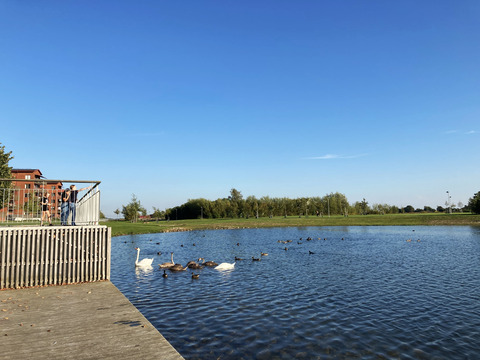 lake
