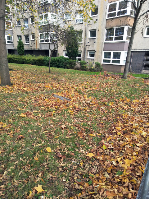 IMG20181023140232