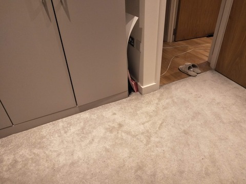 carpet flooring monsanuk