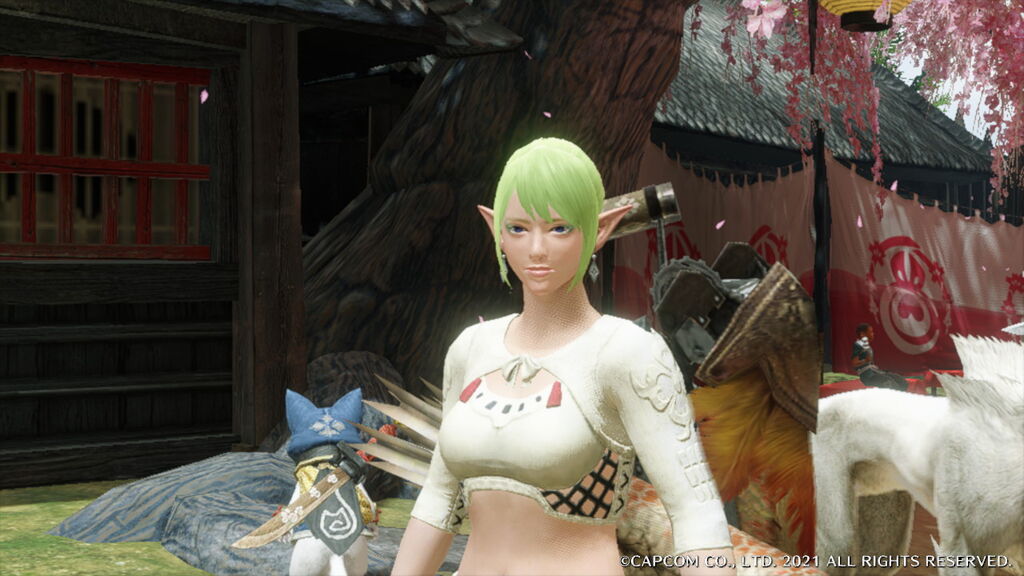 Mhrise エルフっぽくしてみた モンスターハンターライズまとめ速報