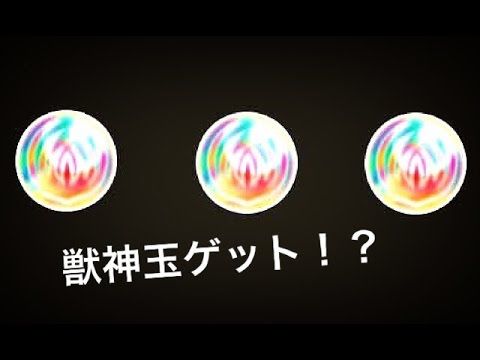 獣玉