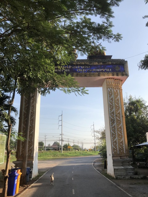 13 ワットケーオファー A裏