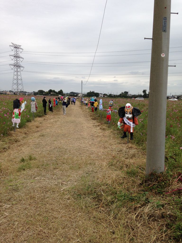 16秋 吉見町 コスモス畑 おネストblog