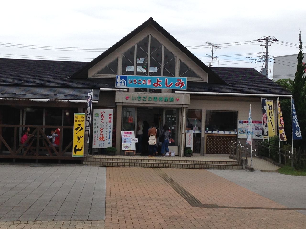 16秋 吉見町 コスモス畑 おネストblog 16秋 吉見町 コスモス畑 おネストblog