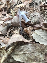 IMG_1476