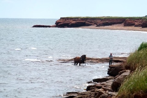 PEI1