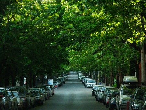 通勤路4