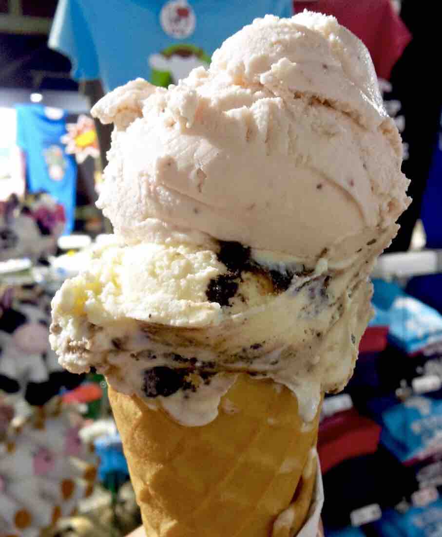 世界一のアイスクリーム きっかけの街 モントリオール 世界一のアイスクリーム きっかけの街 モントリオール