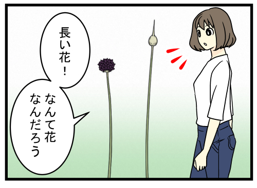 387 (1)