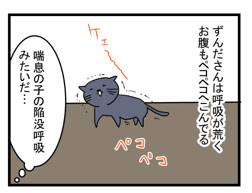 ねこ1