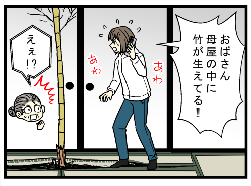 384 (1)