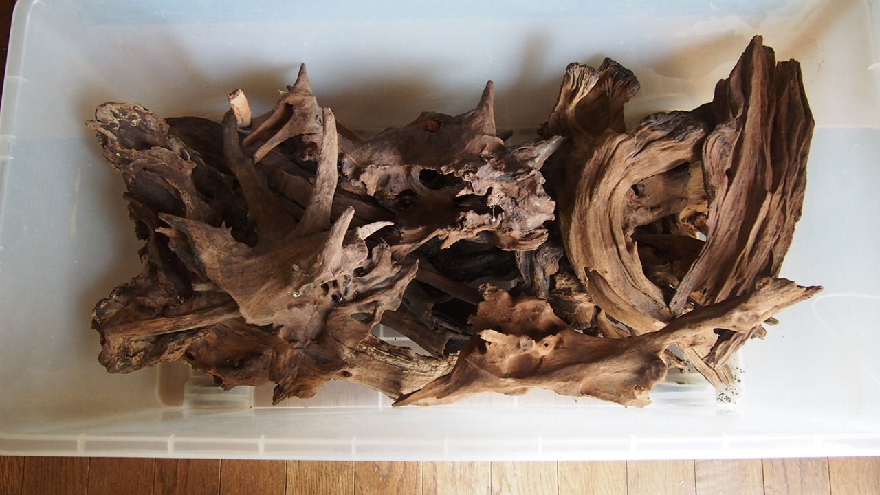 流木と水草とオフ会の話 アクアリウムでコーヒー休憩