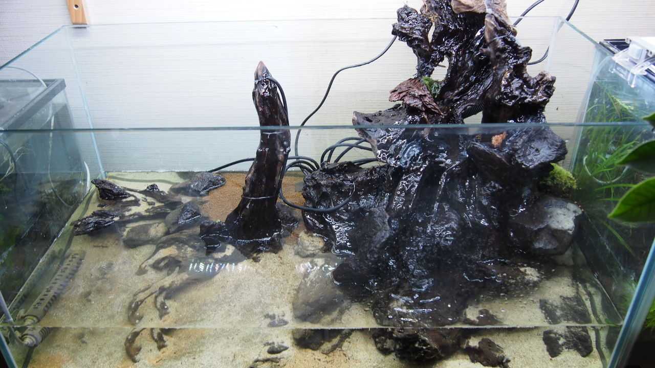 アクアテラリウムvol3 完成 アクアリウムでコーヒー休憩