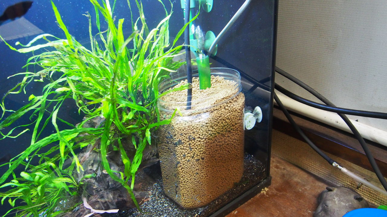 水槽3本の変更 アクアリウムでコーヒー休憩 水槽3本の変更 アクアリウムでコーヒー休憩