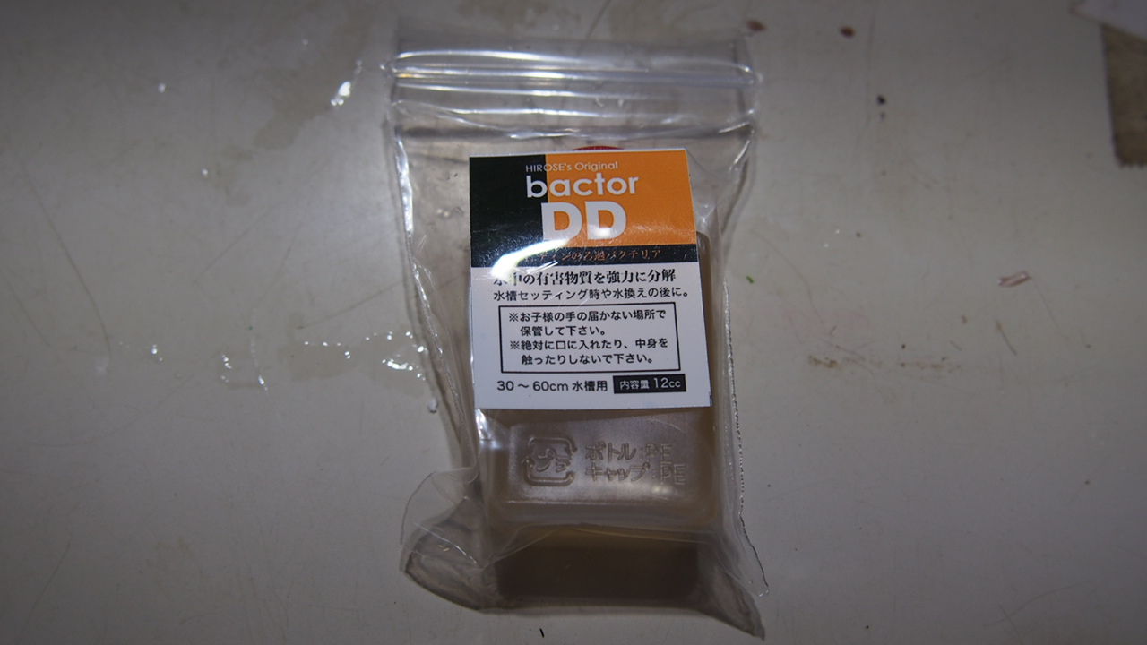 今日はちょっと小難しい話でも アクアリウムでコーヒー休憩 今日はちょっと小難しい話でも アクアリウムでコーヒー休憩