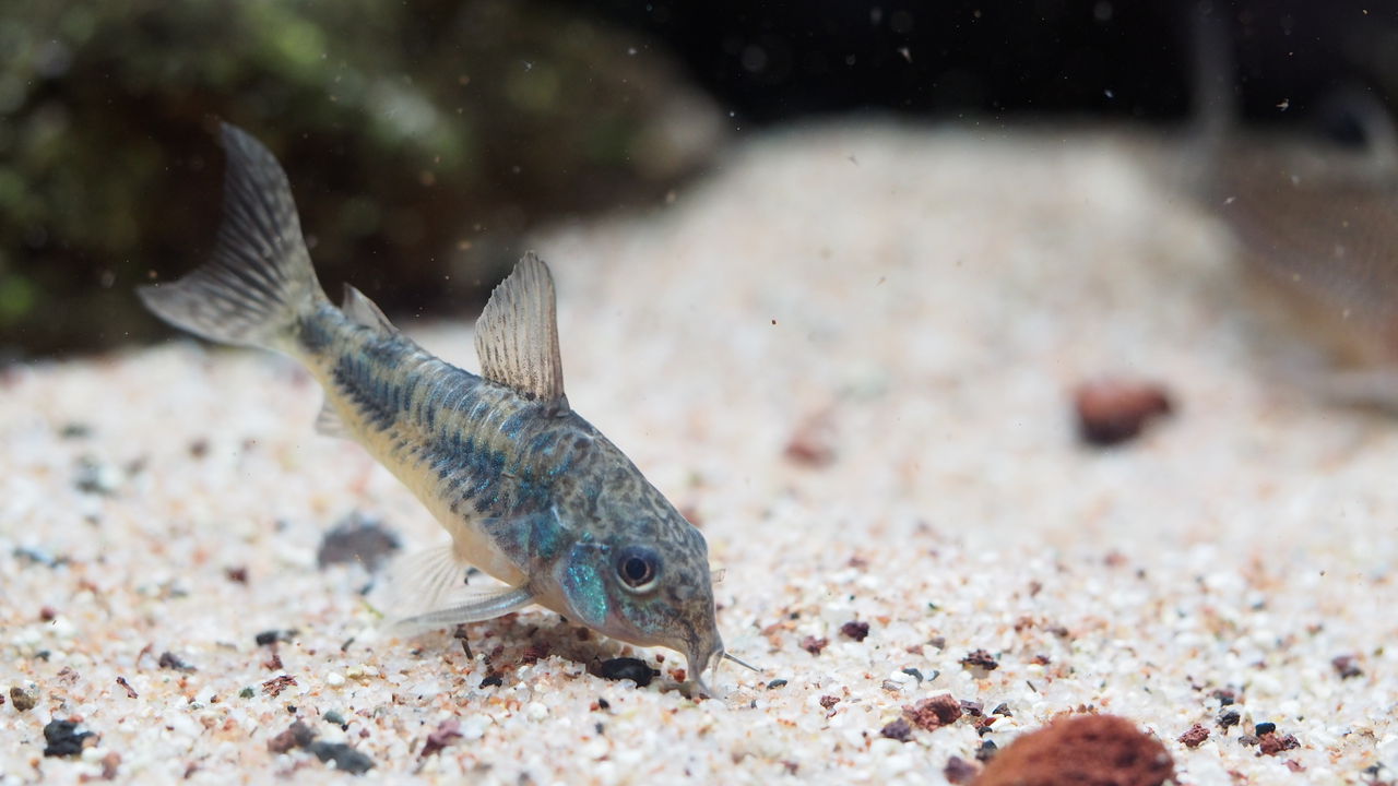 プロマイド写真 アクアリウムでコーヒー休憩 プロマイド写真 アクアリウムでコーヒー休憩