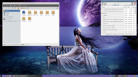 linuxlite02