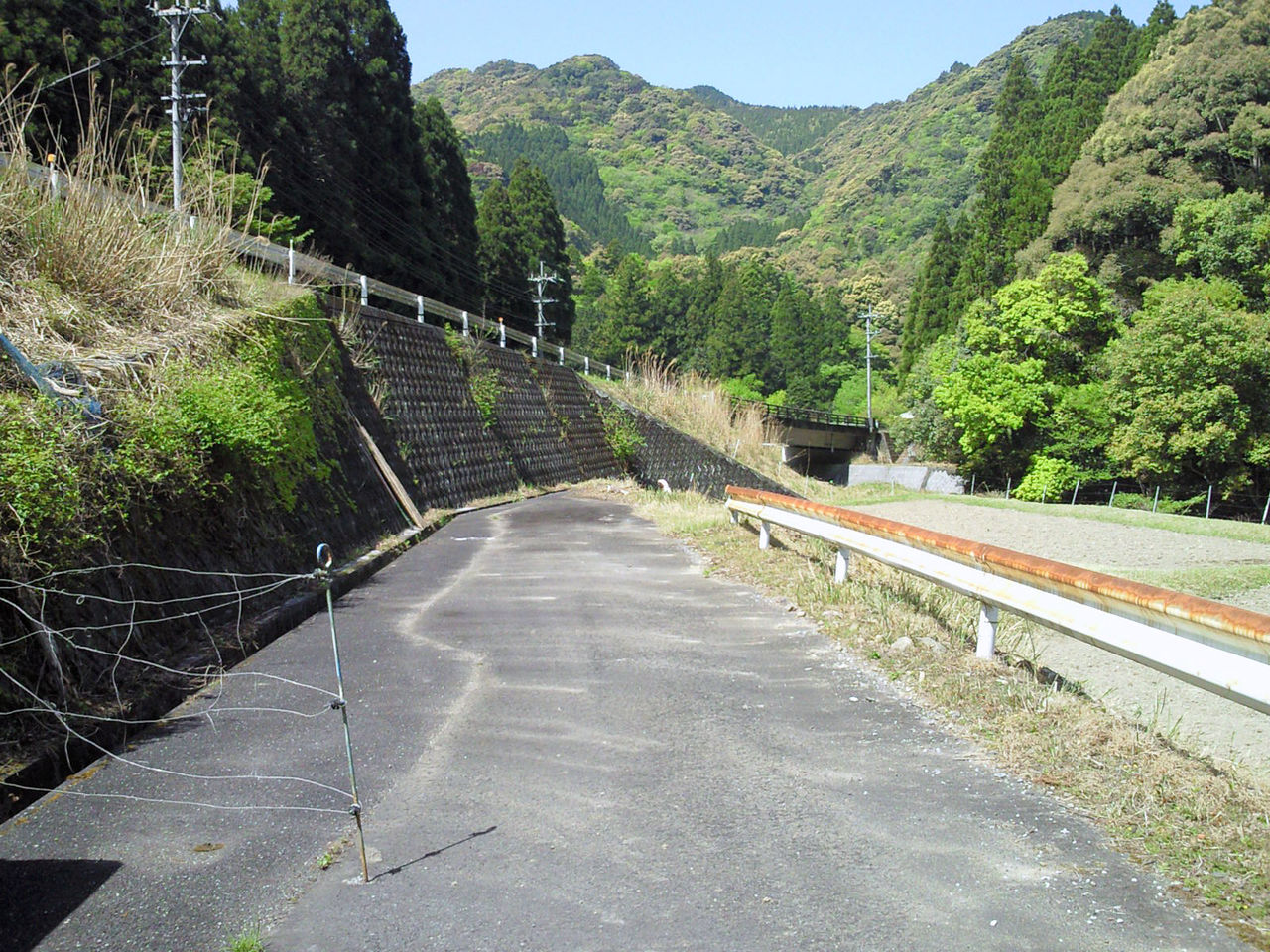 大分 県道の旅 37号線