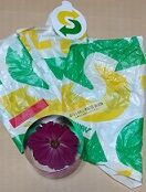 3-3-29サブウェイ