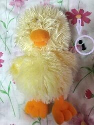 6-6-15やらかし王子