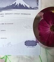 5-6-7パスポート